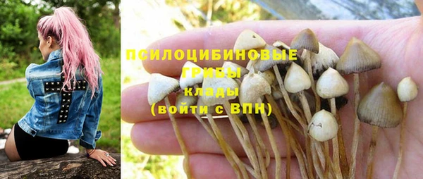 a pvp Нея