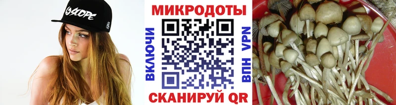 Галлюциногенные грибы Psilocybine cubensis  ОМГ ОМГ зеркало  Брюховецкая 